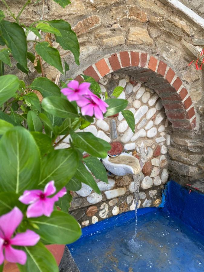 Valmas Village Skiathos Chora Extérieur photo